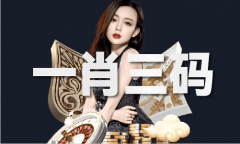内部精准10码大全最新材料