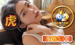 正输尽光 - 正输尽光V91