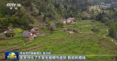 <b>【开创高质量成长新场合排场】2024年农业农村经</b>