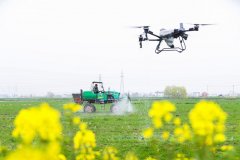 农业强国规划！广袤村落将变样