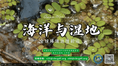 结合国最新发布！中国再添3处世界级农业遗产总