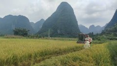 永福县建牢农业防汛平安线  全力保障夏收秋